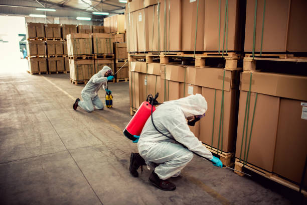 Best Best Pest Control Companies  in Roan Mountain, TN