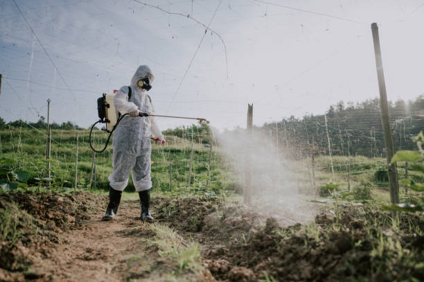 Best Best Pest Control Companies  in Roan Mountain, TN