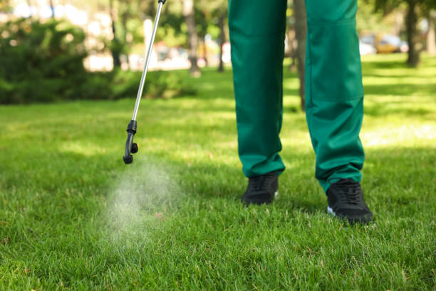 Best Bed Bug Extermination  in Roan Mountain, TN
