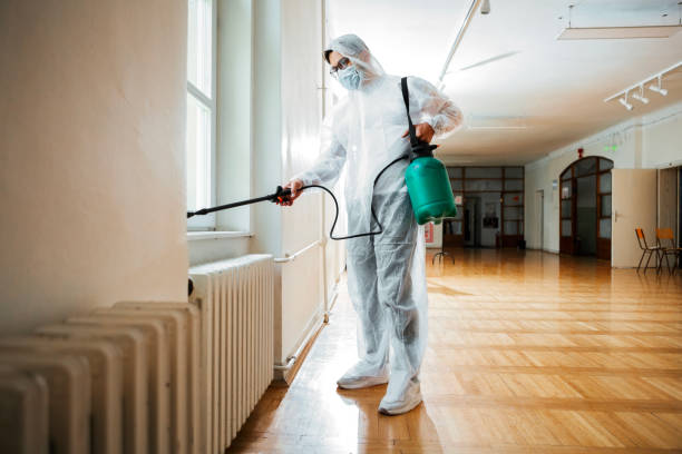 Best Bed Bug Extermination  in Roan Mountain, TN