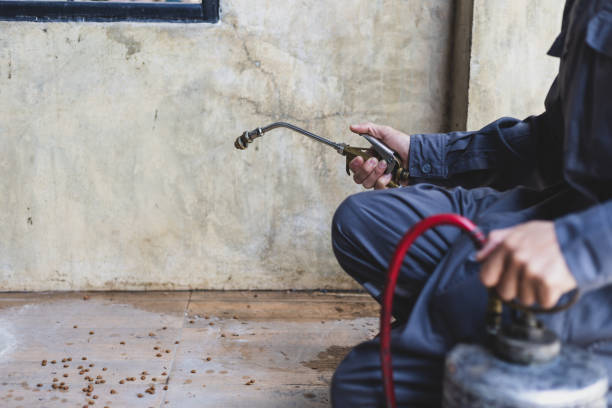 Best Residential Pest Control  in Roan Mountain, TN