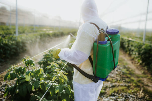 Best Emergency Pest Control  in Roan Mountain, TN